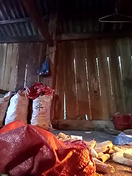 Ngocmi909 online show from 13, 12, 2025