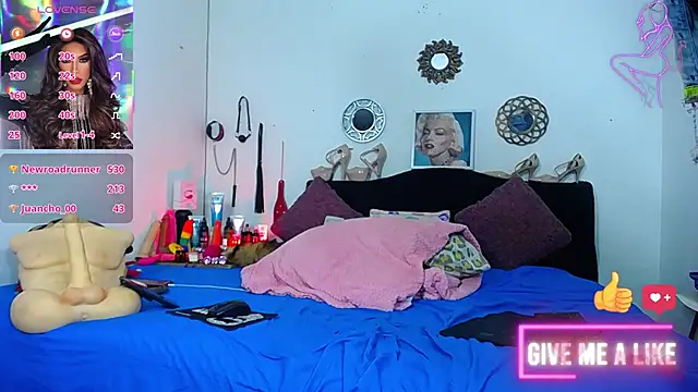 Starhott  online show from 6, 11, 2025