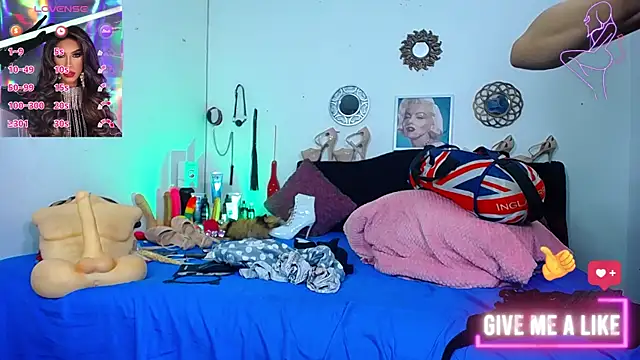 Starhott  online show from 7, 11, 2025