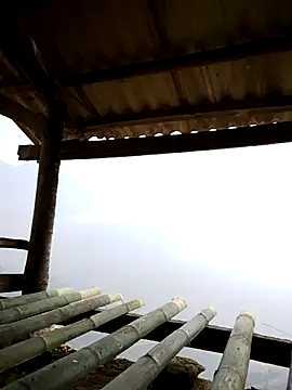 Maymay0033 online show from 3, 4, 2026