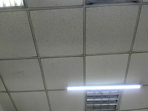 Snapshot of ScarletDoll chatting on 24, 10, 2025 ScarletDoll online show from 24, 10, 2025