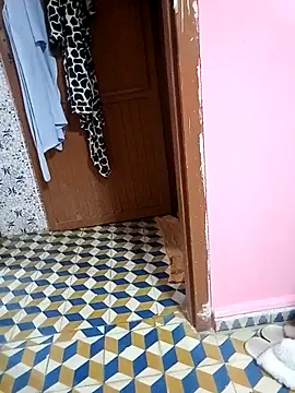 Snapshot of Mayamimi chatting on 8, 11, 2025 Mayamimi online show from 8, 11, 2025