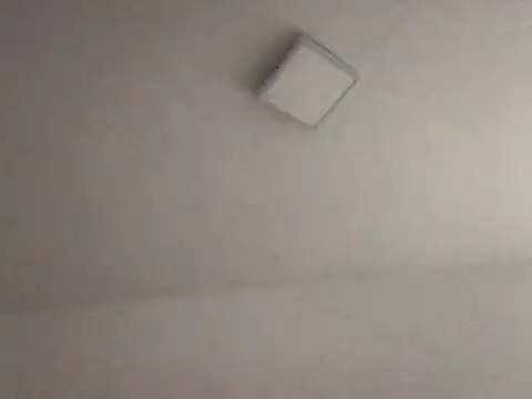 alegriadodia online show from 8, 10, 2025