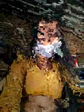 Sapna thakurr online show from 17, 11, 2025