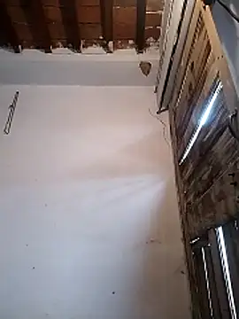 PunjabiSardarBull online show from 19, 3, 2026