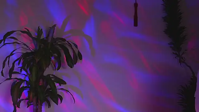 bri von dhara   online show from 7, 3, 2026