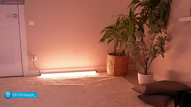 Snapshot of Miablueye chatting on 20, 11, 2025 Miablueye online show from 20, 11, 2025