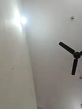 Appypie online show from 3, 12, 2025