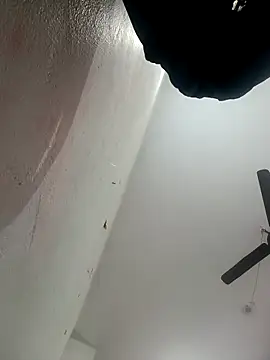 Appypie online show from 1, 2, 2026