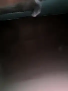 Stree18 online show from 15, 9, 2025