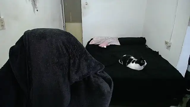 Amber09raiden online show from 31, 10, 2025