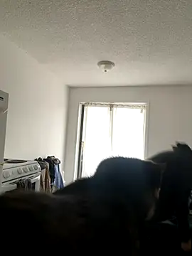 Snapshot of inked_nekoo chatting on 3, 12, 2025 inked nekoo online show from 3, 12, 2025