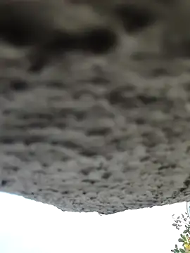 AnanyaKapoor89 online show from 9, 11, 2025