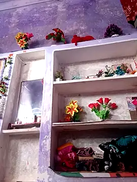 Sareena jaan online show from 24, 9, 2025