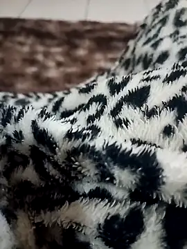 Gauderio40 online show from 21, 11, 2025