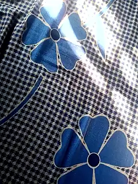 Snapshot of Renuka_GG chatting on 4, 11, 2025 Renuka GG online show from 4, 11, 2025