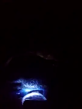 gostoso delas 2 online show from 17, 9, 2025