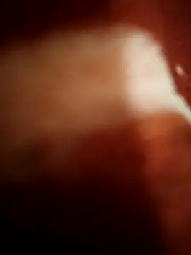 Snapshot of sexy__girls98 chatting on 8, 11, 2025 sexy girls98 online show from 8, 11, 2025