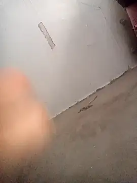 UsualSummer2 online show from 11, 2, 2026