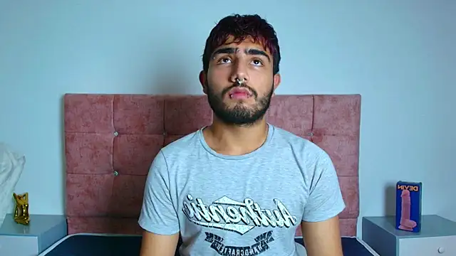 Ares Alpha online show from 12, 11, 2025