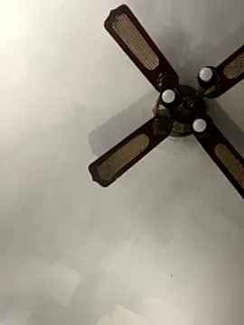 SucculentSexiness0 online show from 12, 3, 2026