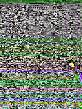 Yumii 09 online show from 8, 10, 2025