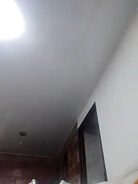 Perropa online show from 14, 3, 2026