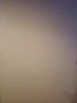 Snapshot of AlphaGymMale chatting on 11, 11, 2025 AlphaGymMale online show from 11, 11, 2025