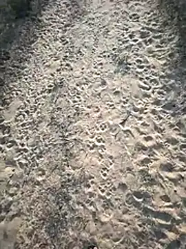 Snapshot of SmartLoda143 chatting on 19, 11, 2025 SmartLoda143 online show from 19, 11, 2025