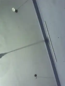 Snapshot of GirlsCrush_ chatting on 29, 9, 2025 GirlsCrush  online show from 29, 9, 2025