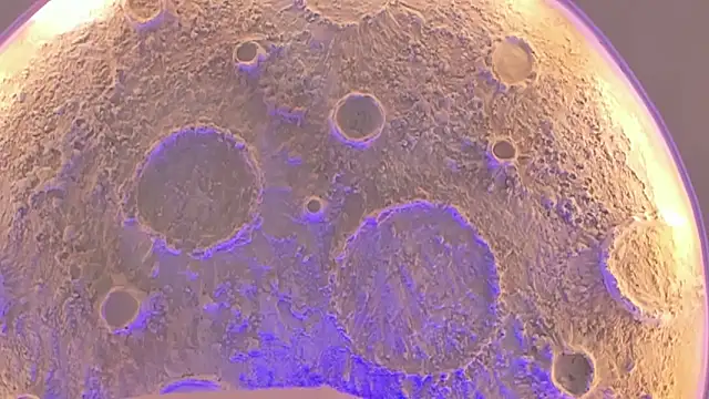 Snapshot of _Noah19 chatting on 16, 10, 2025 Noah19 online show from 16, 10, 2025