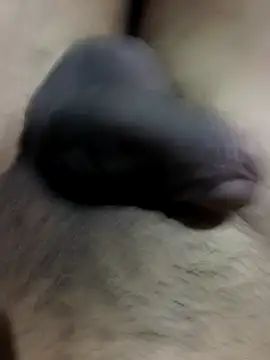 MH 12 11 online show from 22, 9, 2025