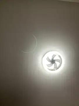 lionr0660 online show from 25, 2, 2026