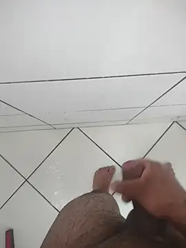 Novin23cms online show from 3, 12, 2025