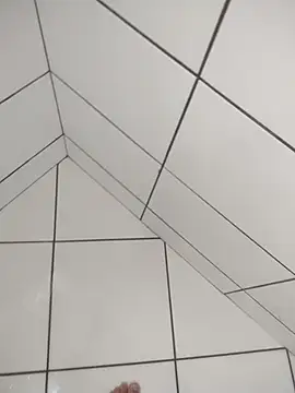 Novin23cms online show from 20, 12, 2025