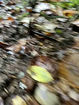 Snapshot of andymatthisbwc chatting on 5, 10, 2025 andymatthisbwc online show from 5, 10, 2025