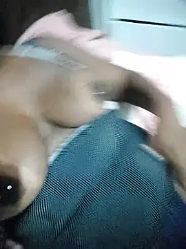 thamihravena online show from 25, 11, 2025