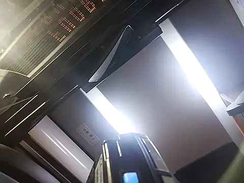 Necroforo online show from 19, 3, 2026