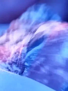 sertaonegro online show from 14, 11, 2025