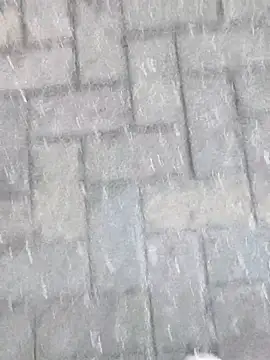 boxerundsocken91 online show from 9, 3, 2026