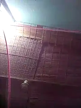 bappyandbanulove online show from 9, 10, 2025