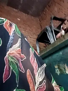 Rashili jaan online show from 11, 2, 2026