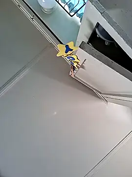 Pedro98801 online show from 16, 3, 2026