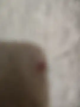 sert erkekk online show from 13, 1, 2026