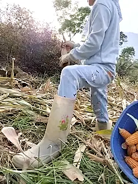 Tin tanny online show from 22, 11, 2025