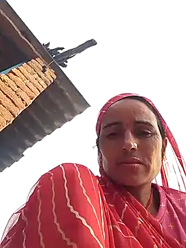 Jalebi bay online show from 15, 10, 2025