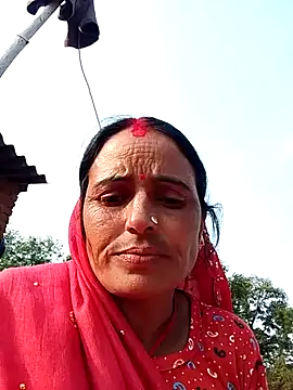 Jalebi bay online show from 26, 11, 2025