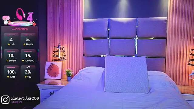 AlanaWalker9 online show from 28, 11, 2025