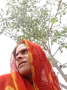 H seema online show from 7, 4, 2026