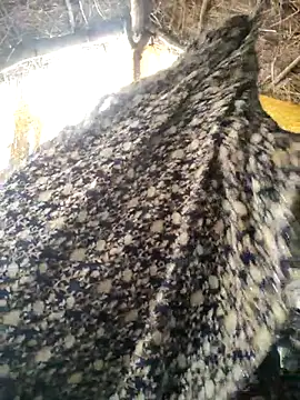 Snapshot of LUCKY_cut chatting on 20, 10, 2025 LUCKY cut online show from 20, 10, 2025